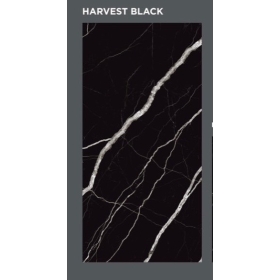 Gạch nhập khẩu Ấn Độ 60x120cm - 036